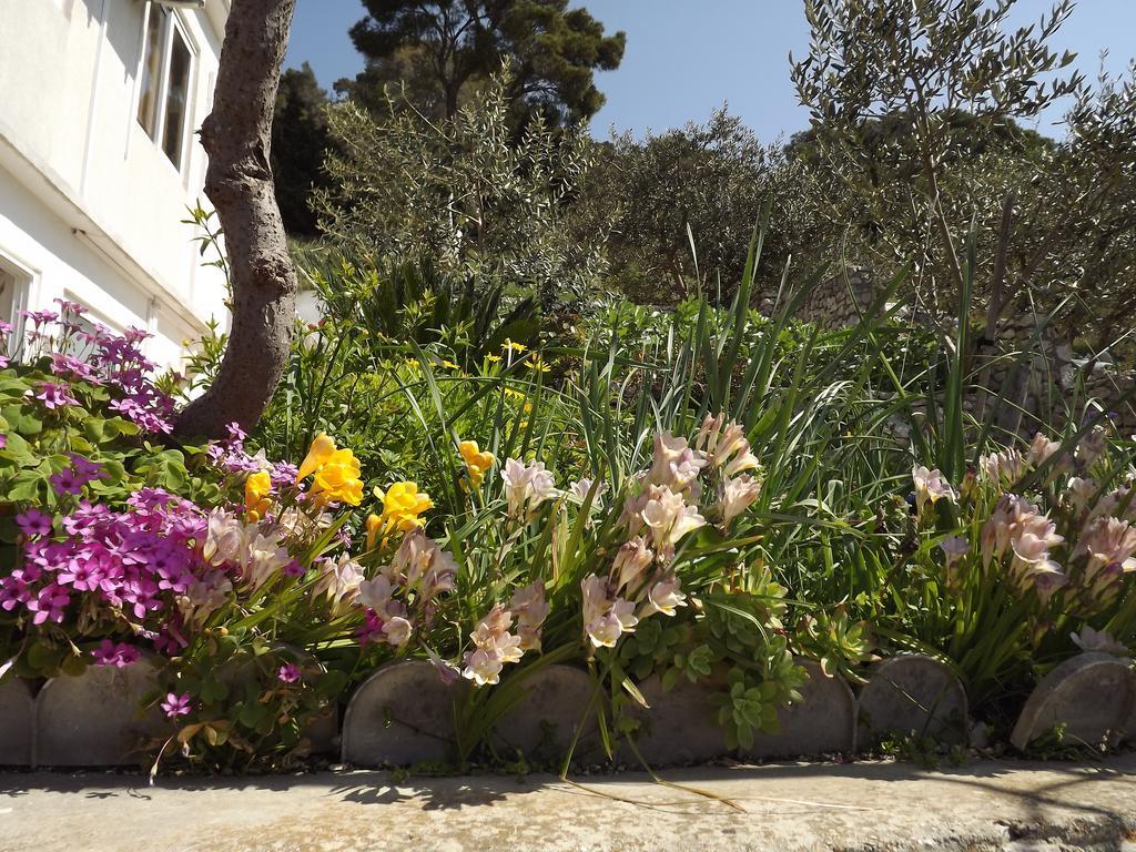 Guest House Vuljan Hvar Town Exterior foto